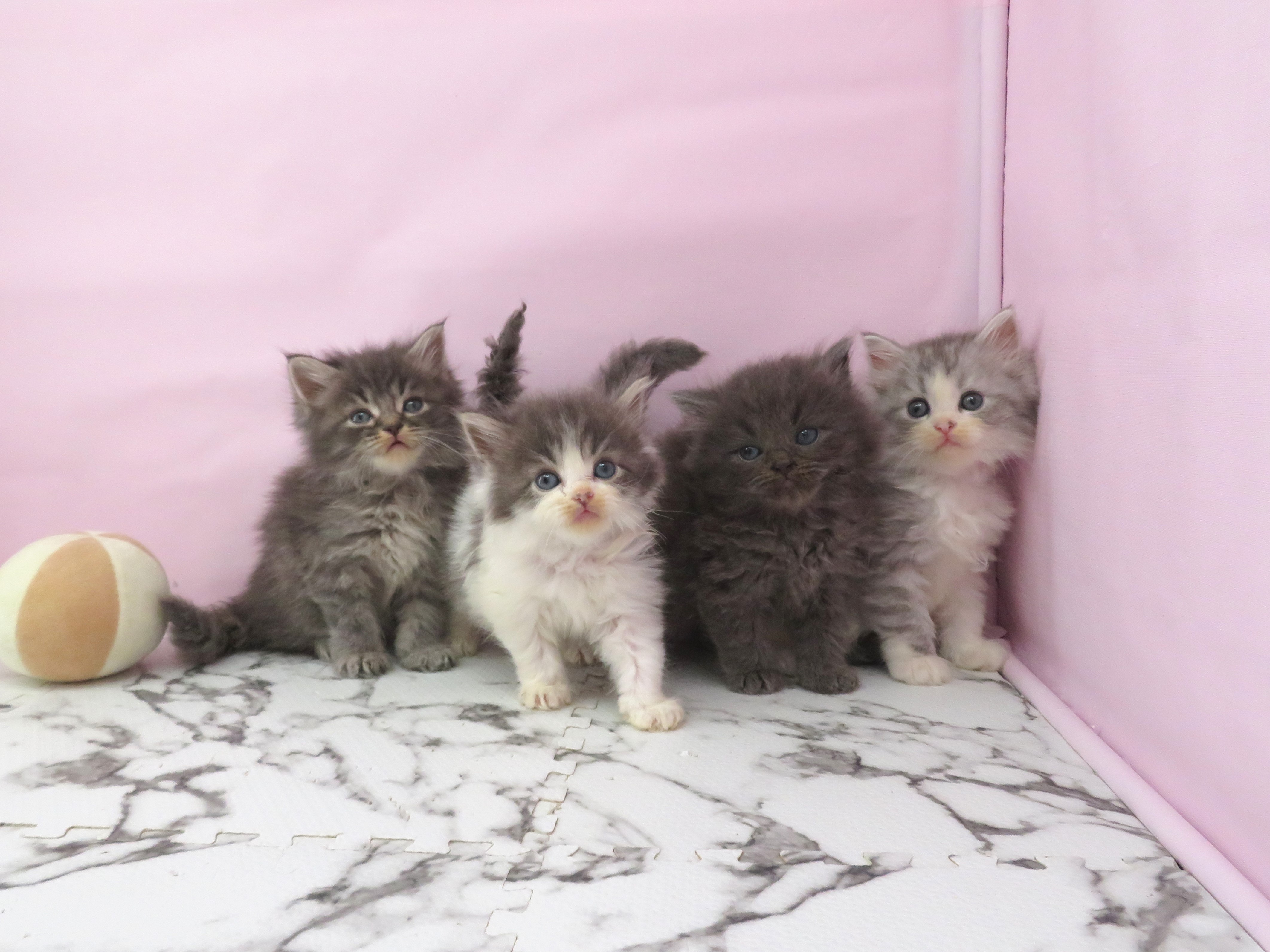 赤ちゃん写真2-3