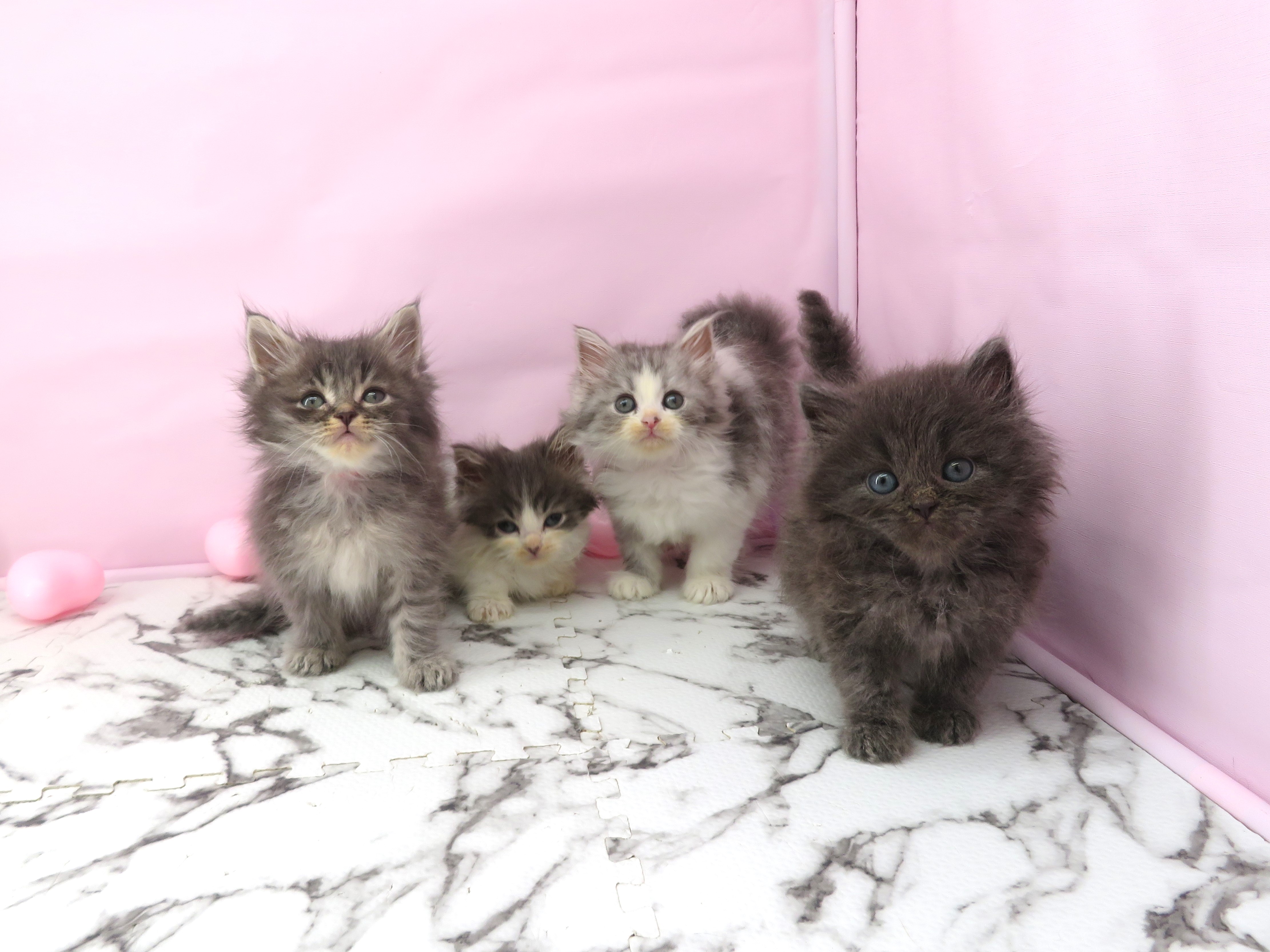 赤ちゃん写真3-3