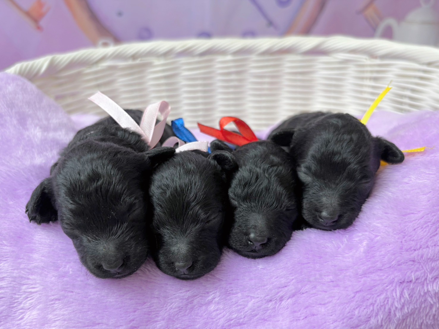 赤ちゃん写真1-3