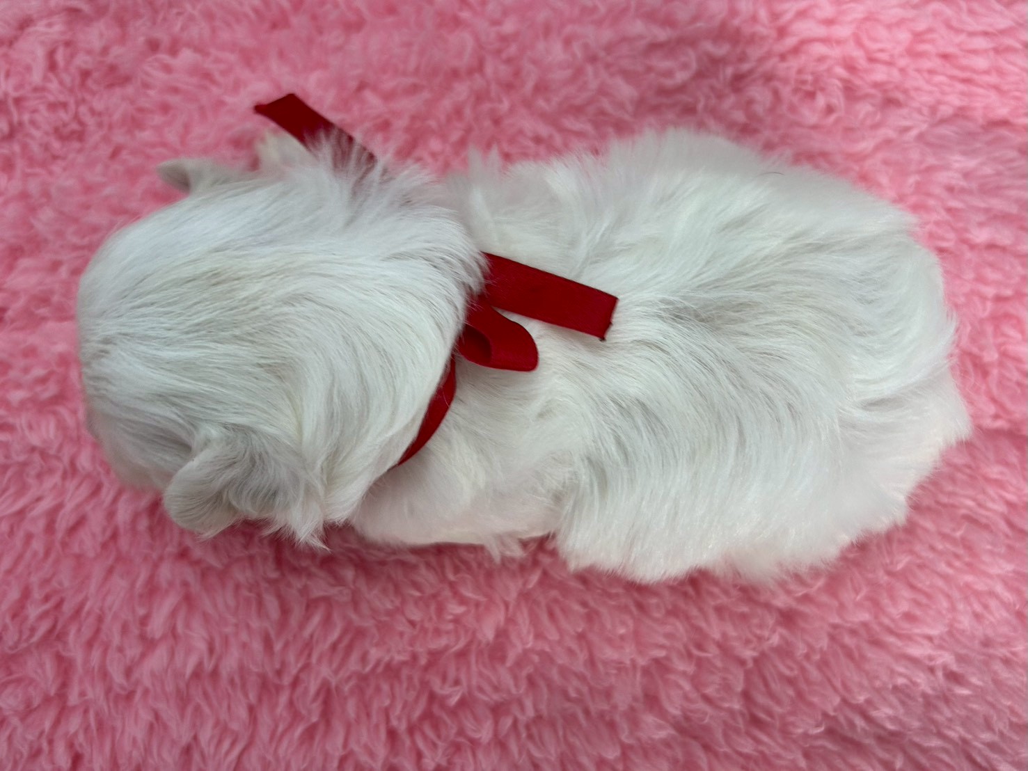 赤ちゃん写真2-3