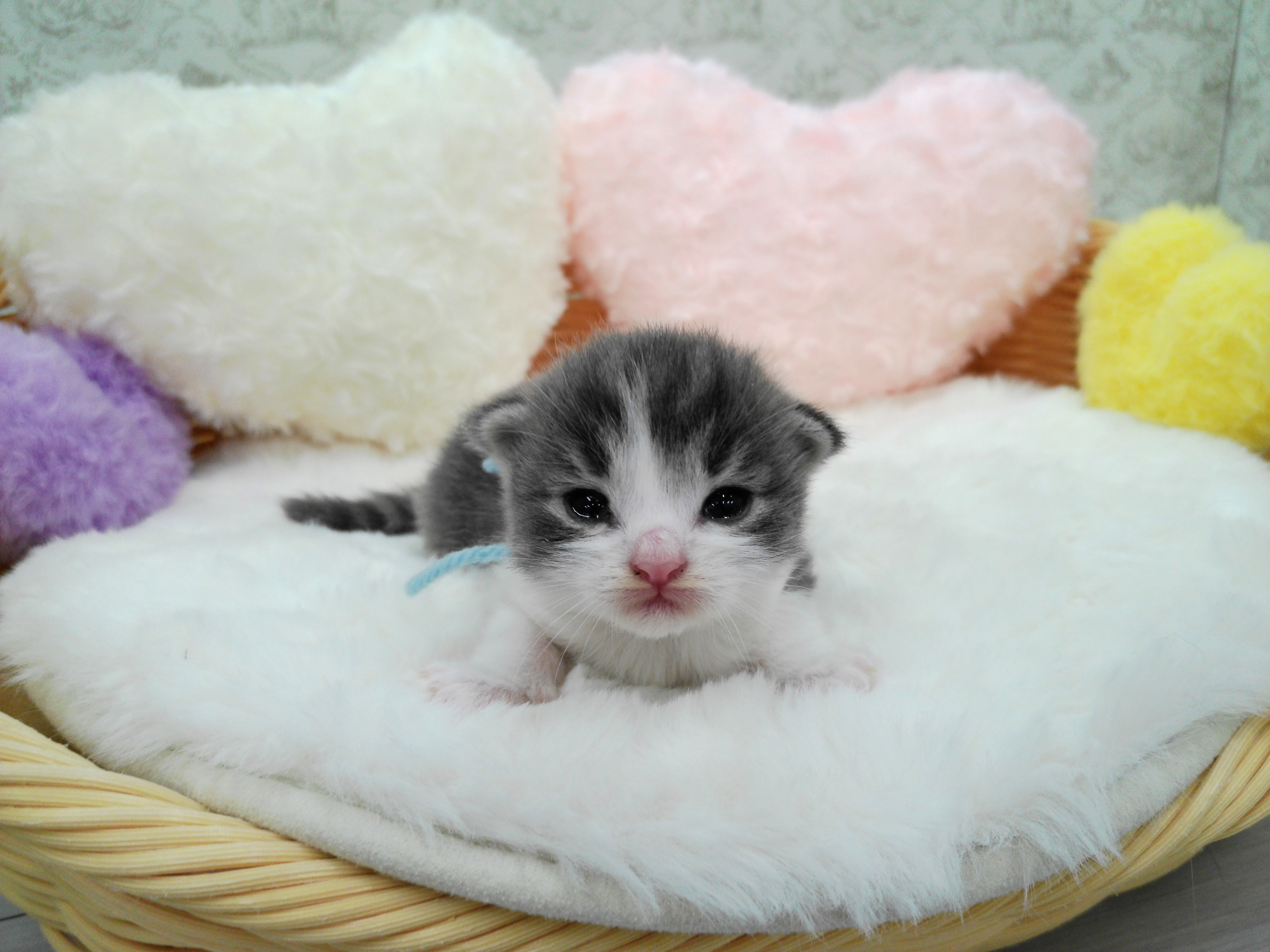 赤ちゃん写真1-1