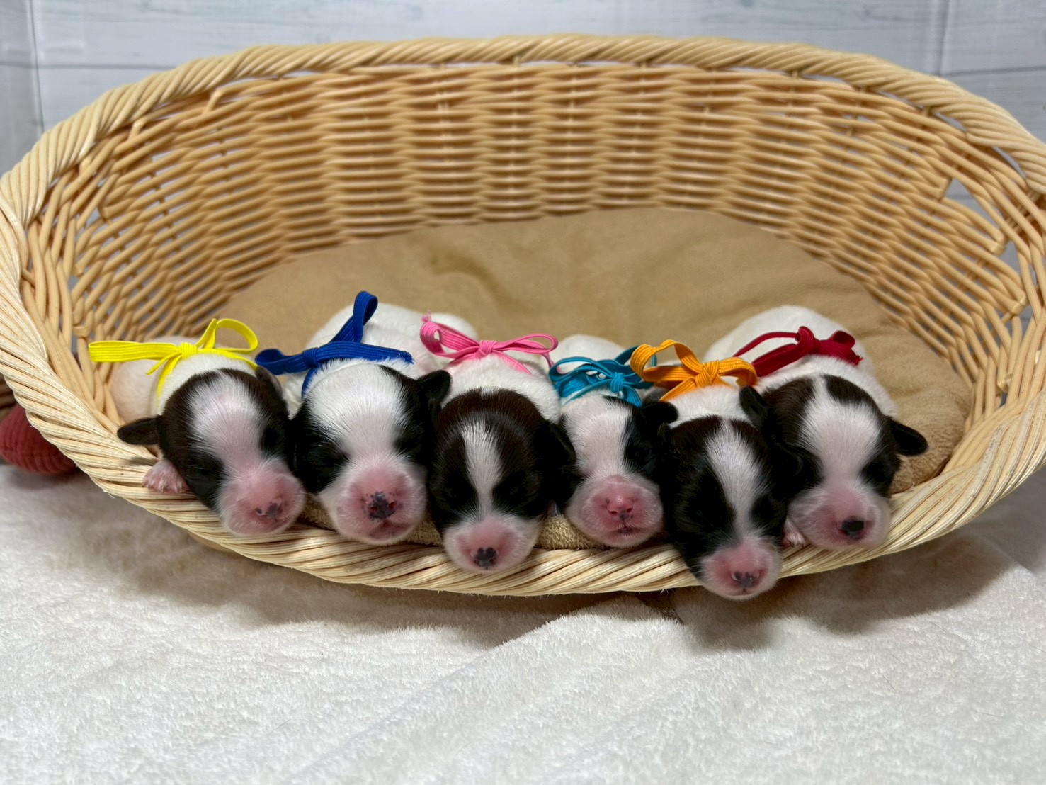 赤ちゃん写真1-3