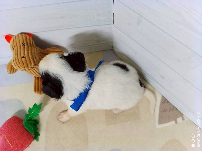 赤ちゃん写真2-3