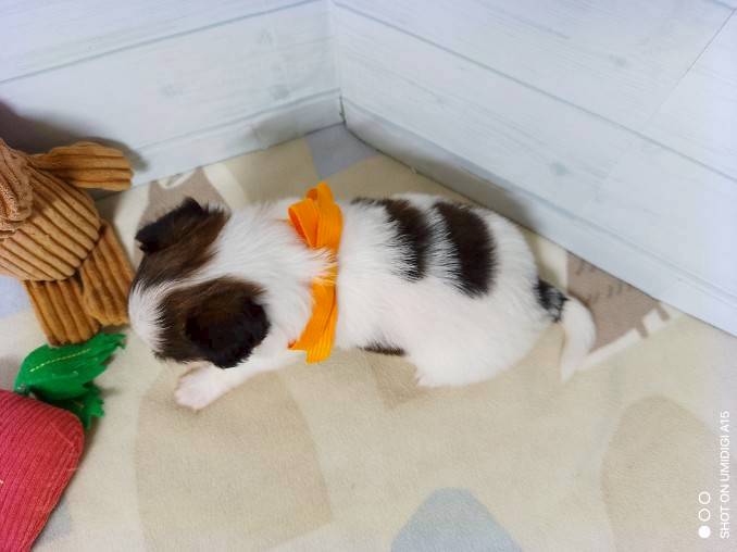 赤ちゃん写真2-3