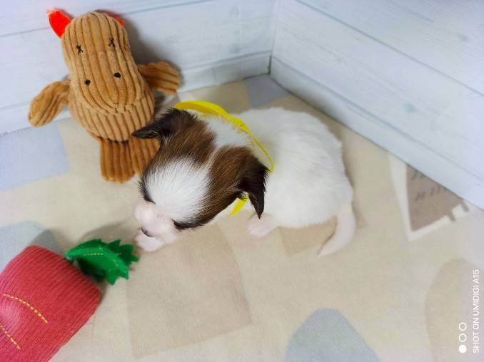 赤ちゃん写真2-3