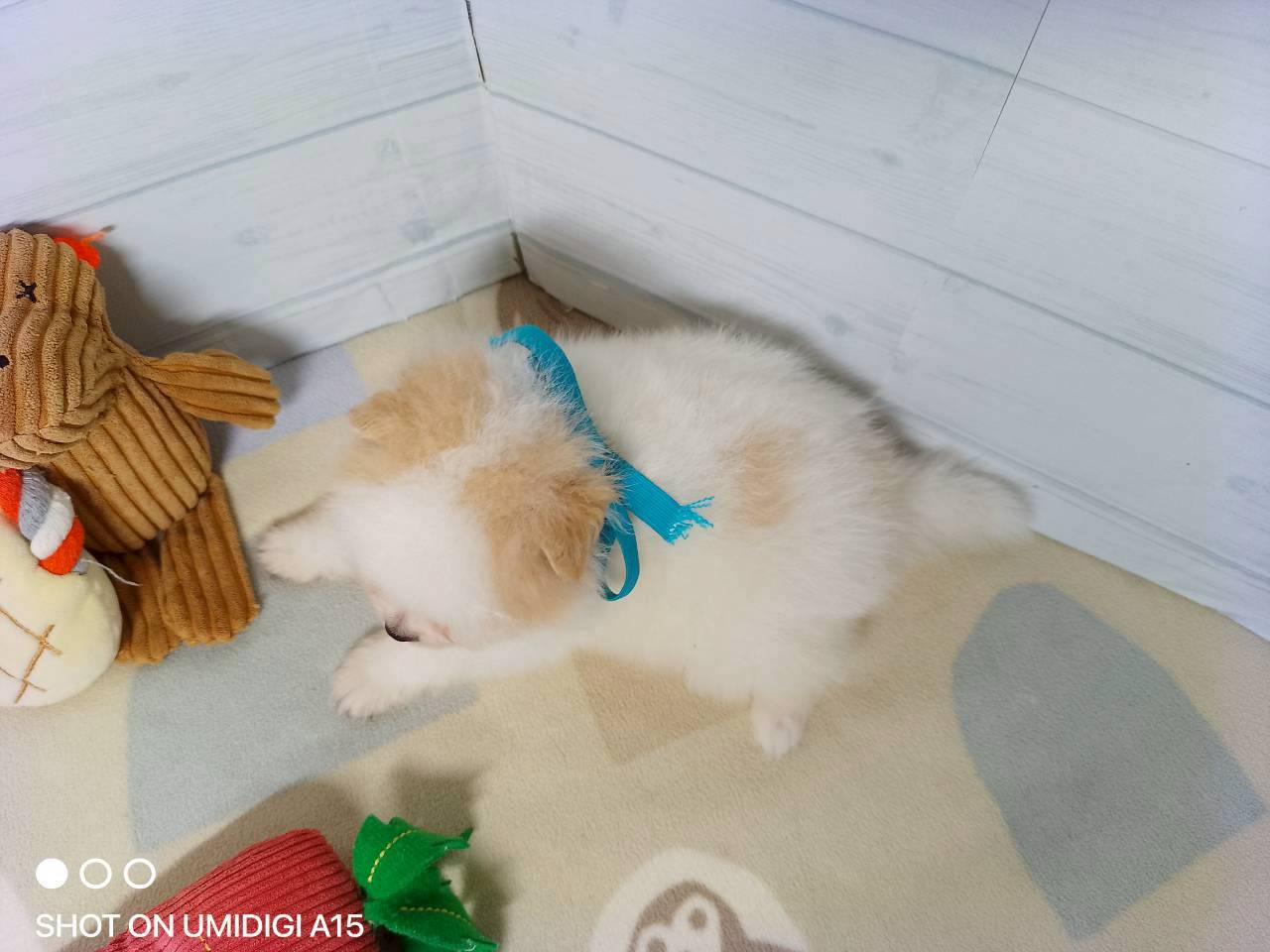 赤ちゃん写真2-3
