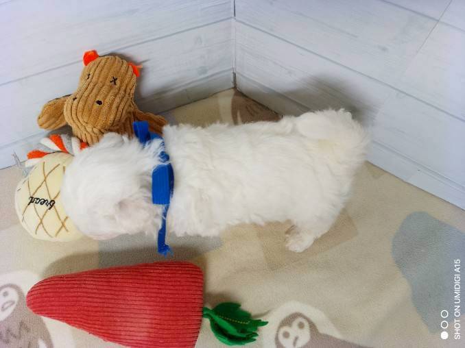 赤ちゃん写真2-3