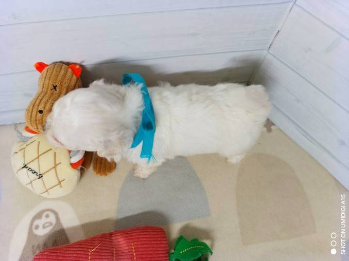 赤ちゃん写真2-3