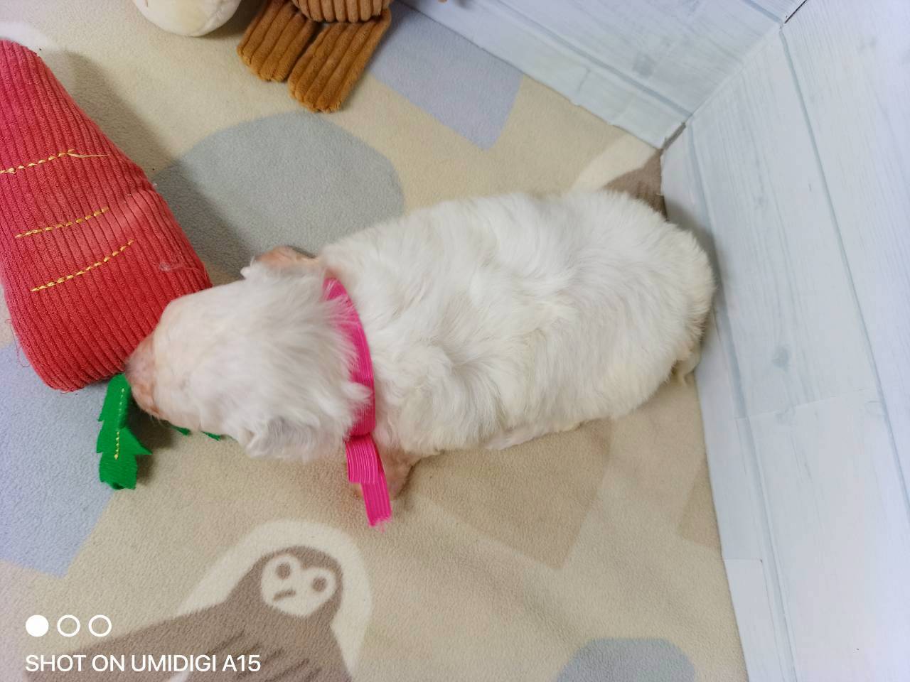 赤ちゃん写真2-3