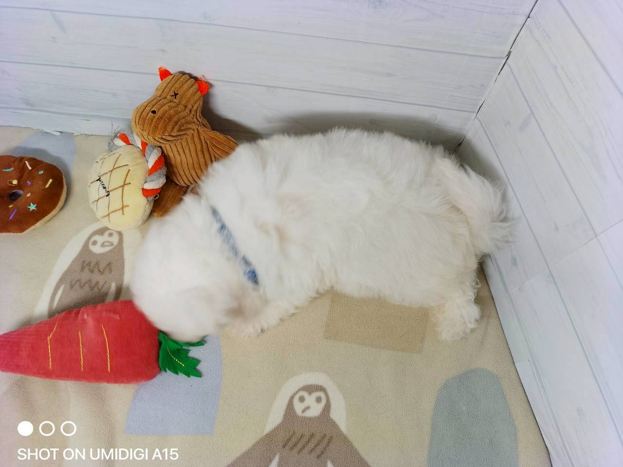 赤ちゃん写真3-3
