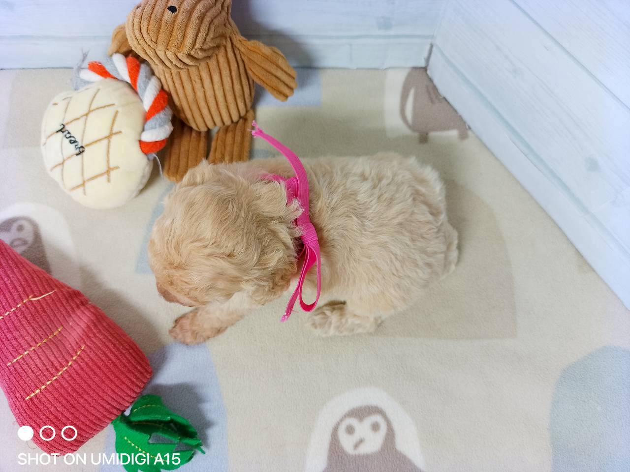 赤ちゃん写真2-3