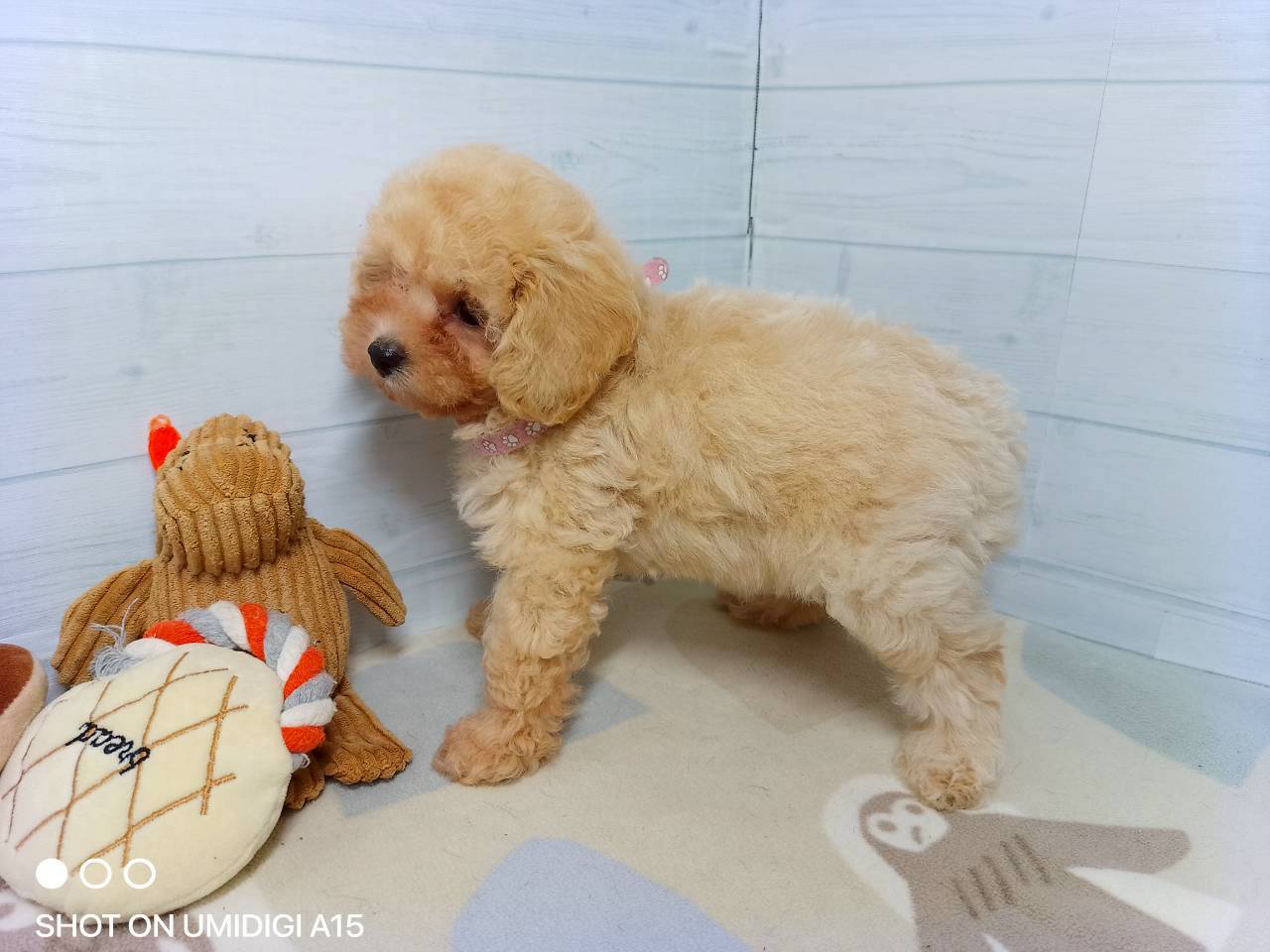 赤ちゃん写真3-2
