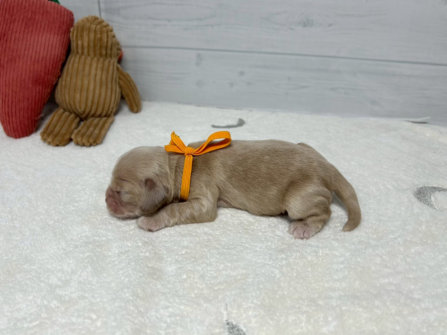 赤ちゃん写真1-2