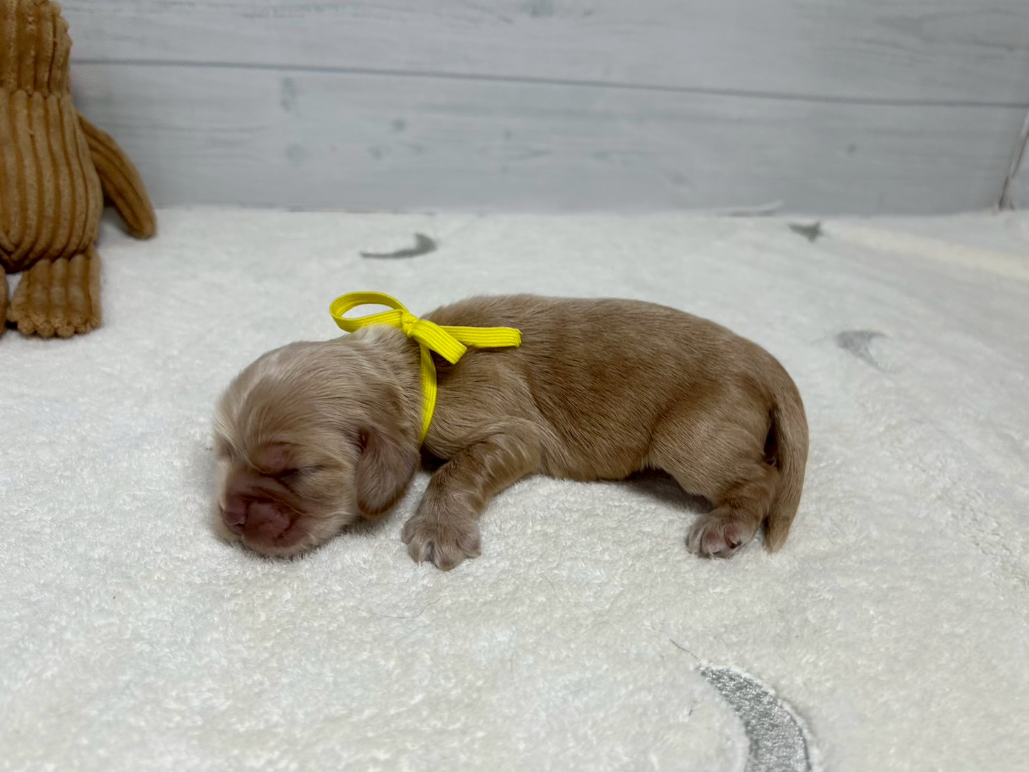 赤ちゃん写真1-2
