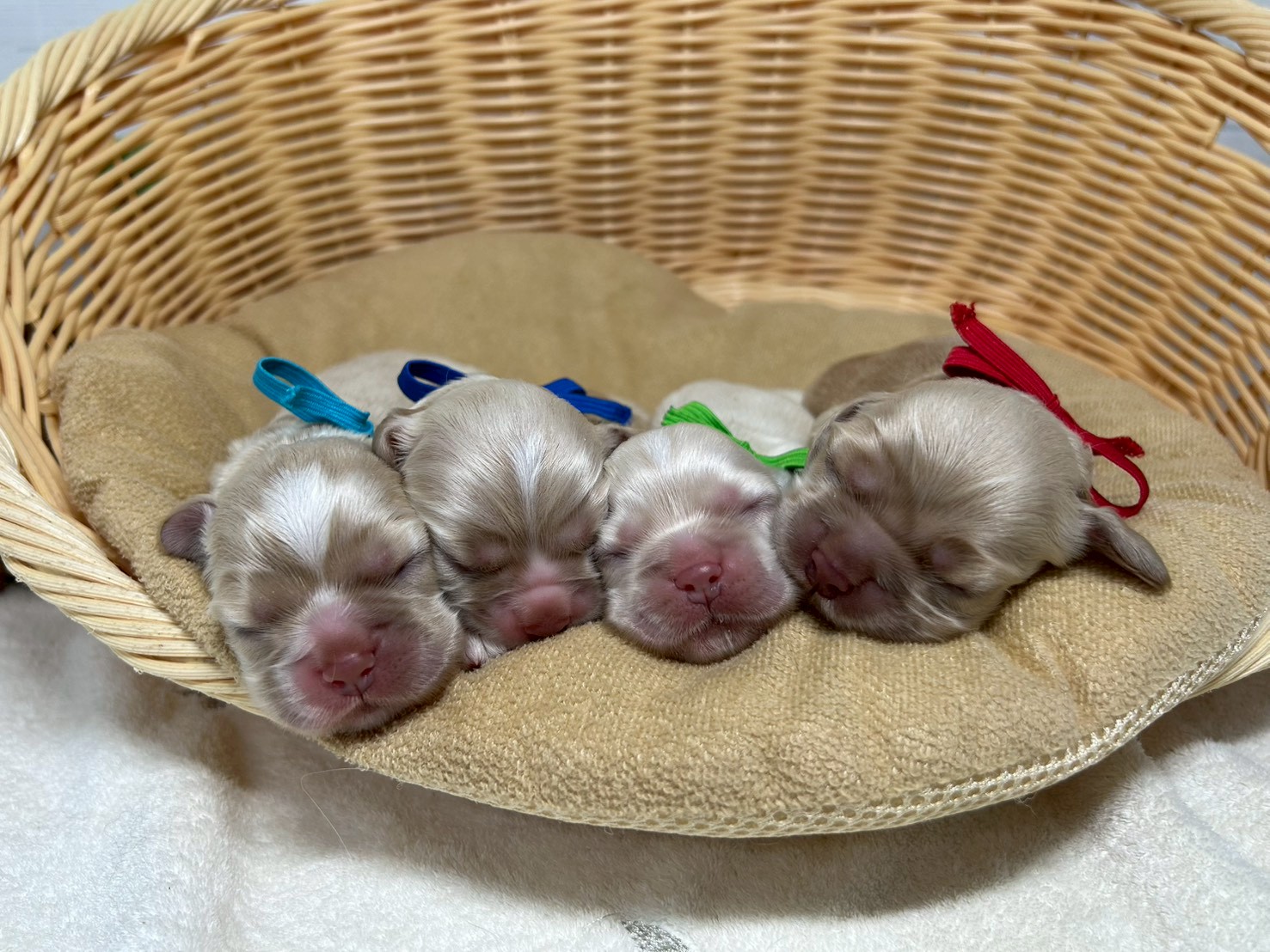 赤ちゃん写真1-3