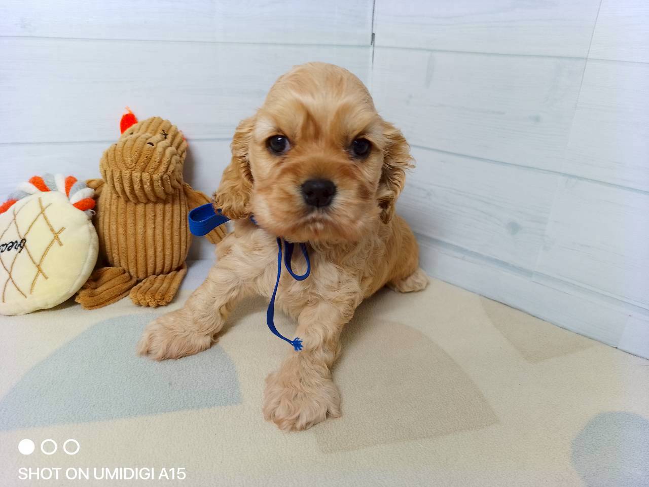 赤ちゃん写真2-1