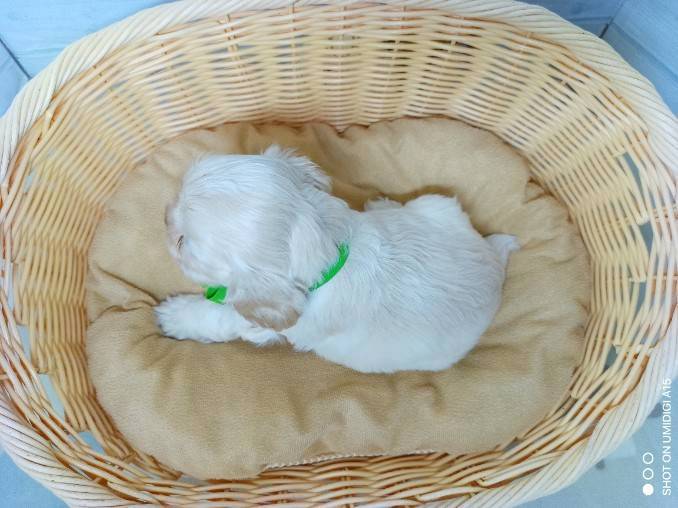 赤ちゃん写真2-3