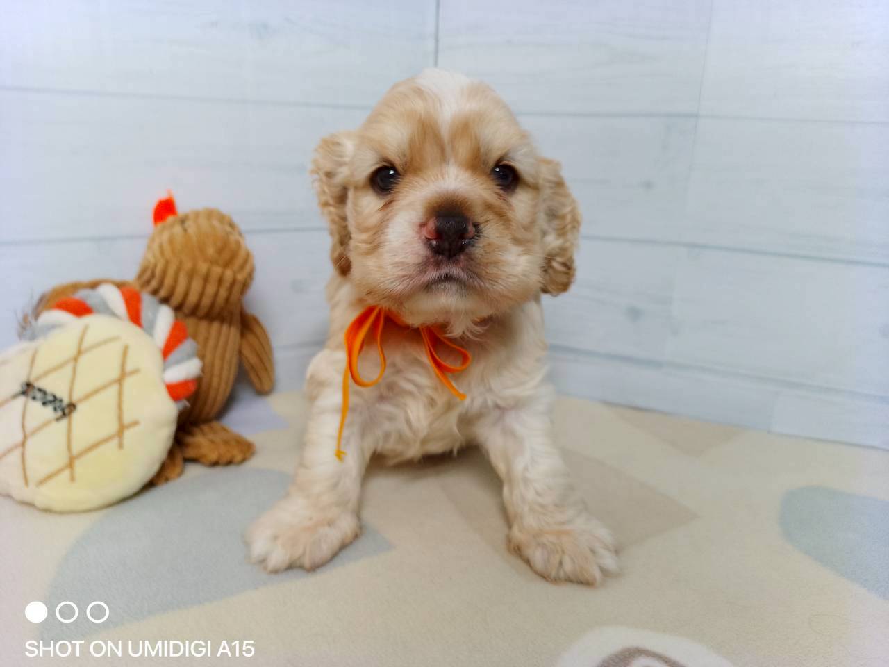 赤ちゃん写真2-1
