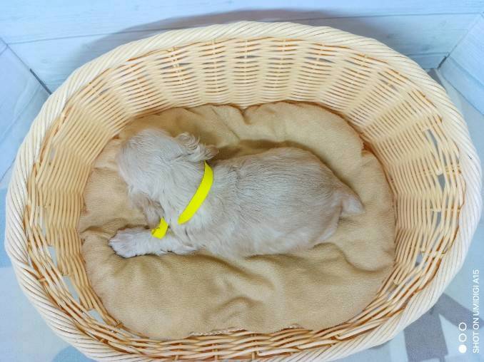 赤ちゃん写真2-3