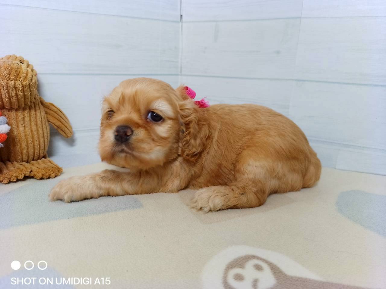 赤ちゃん写真2-2