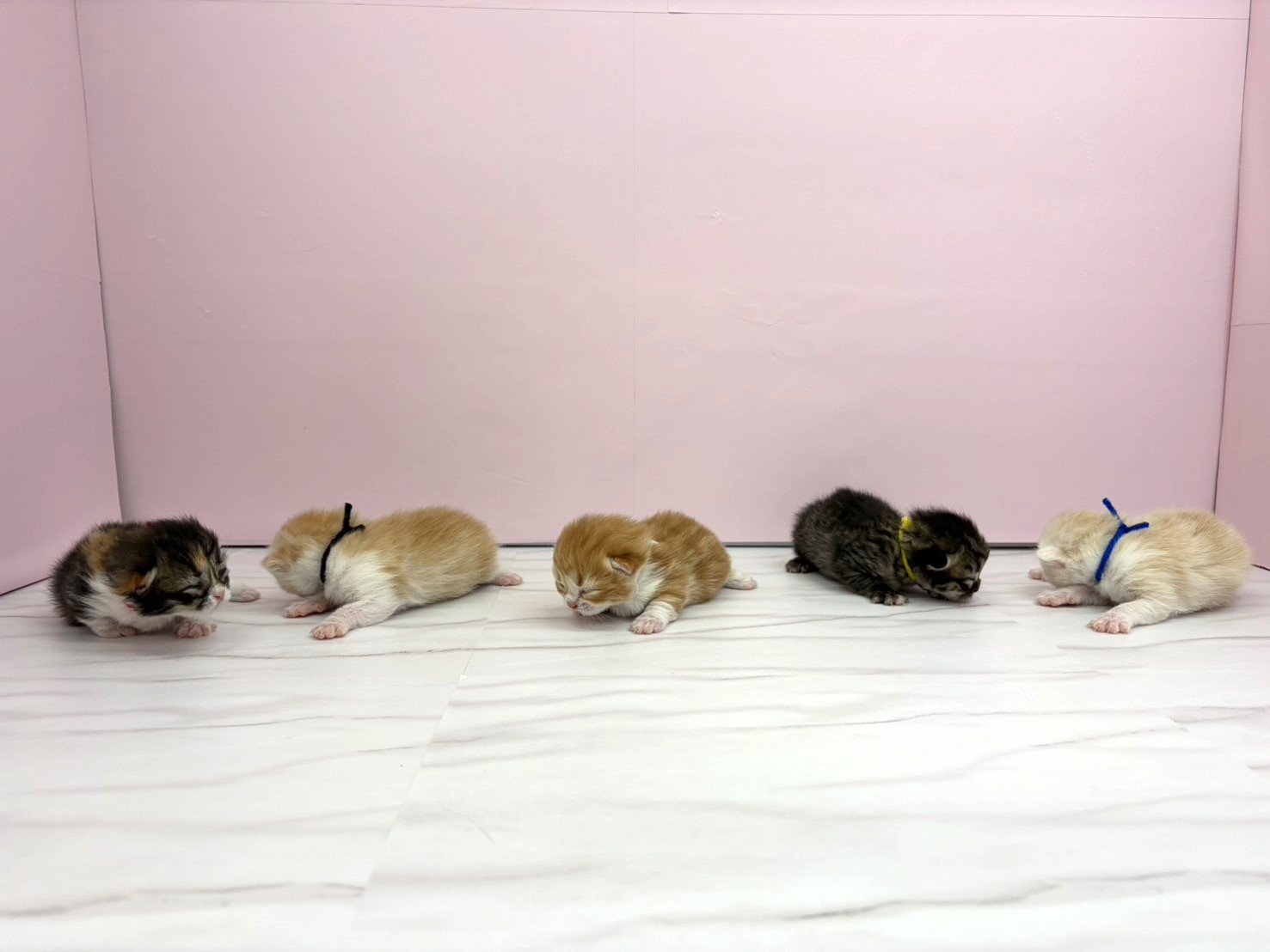 赤ちゃん写真1-3