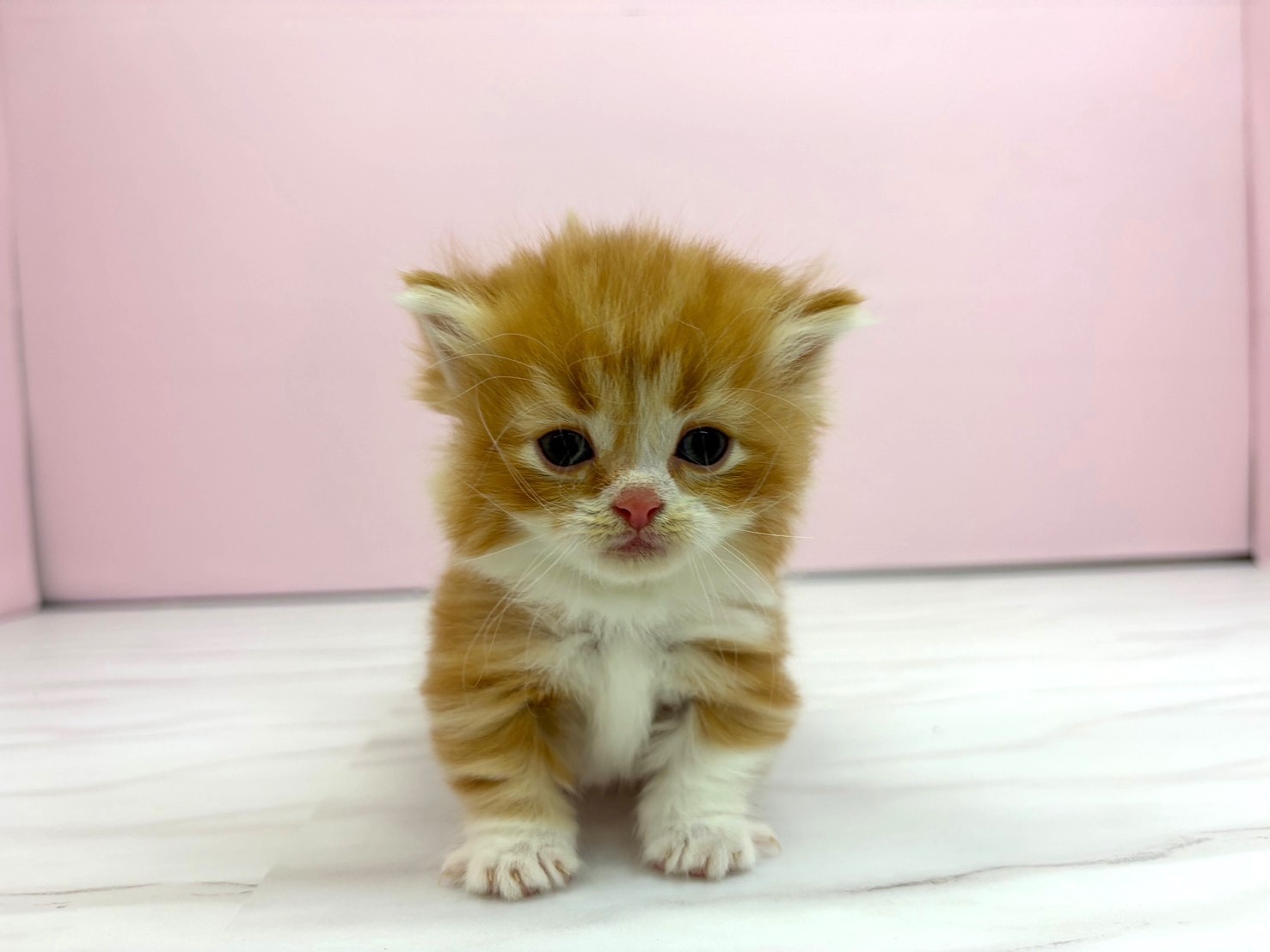 赤ちゃん写真2-1
