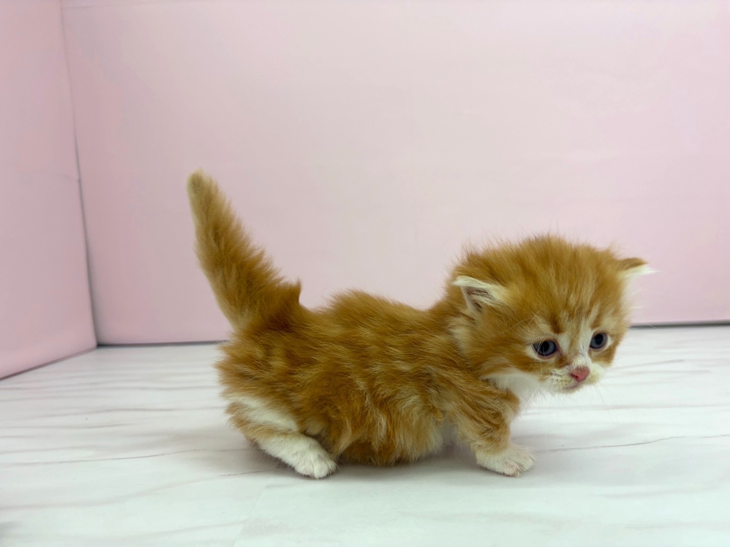 赤ちゃん写真2-2