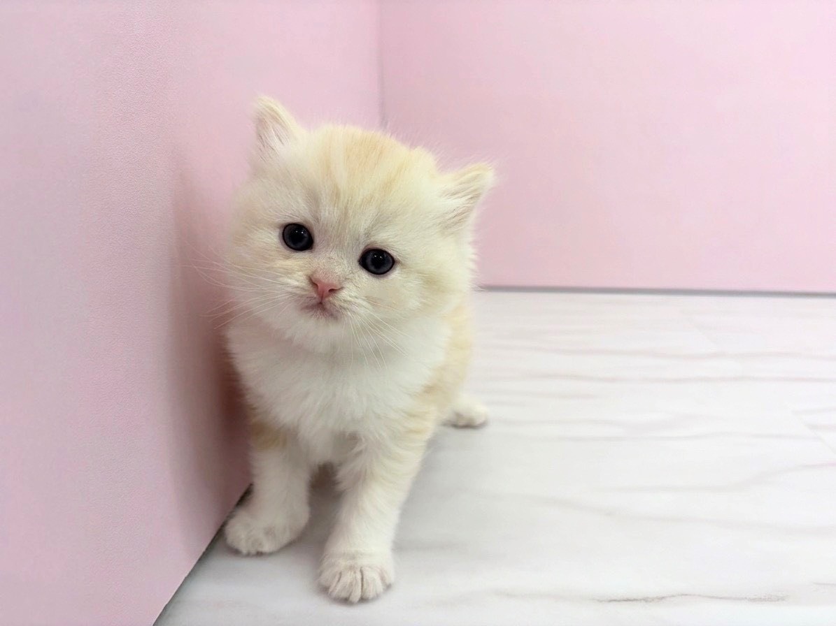 赤ちゃん写真2-1