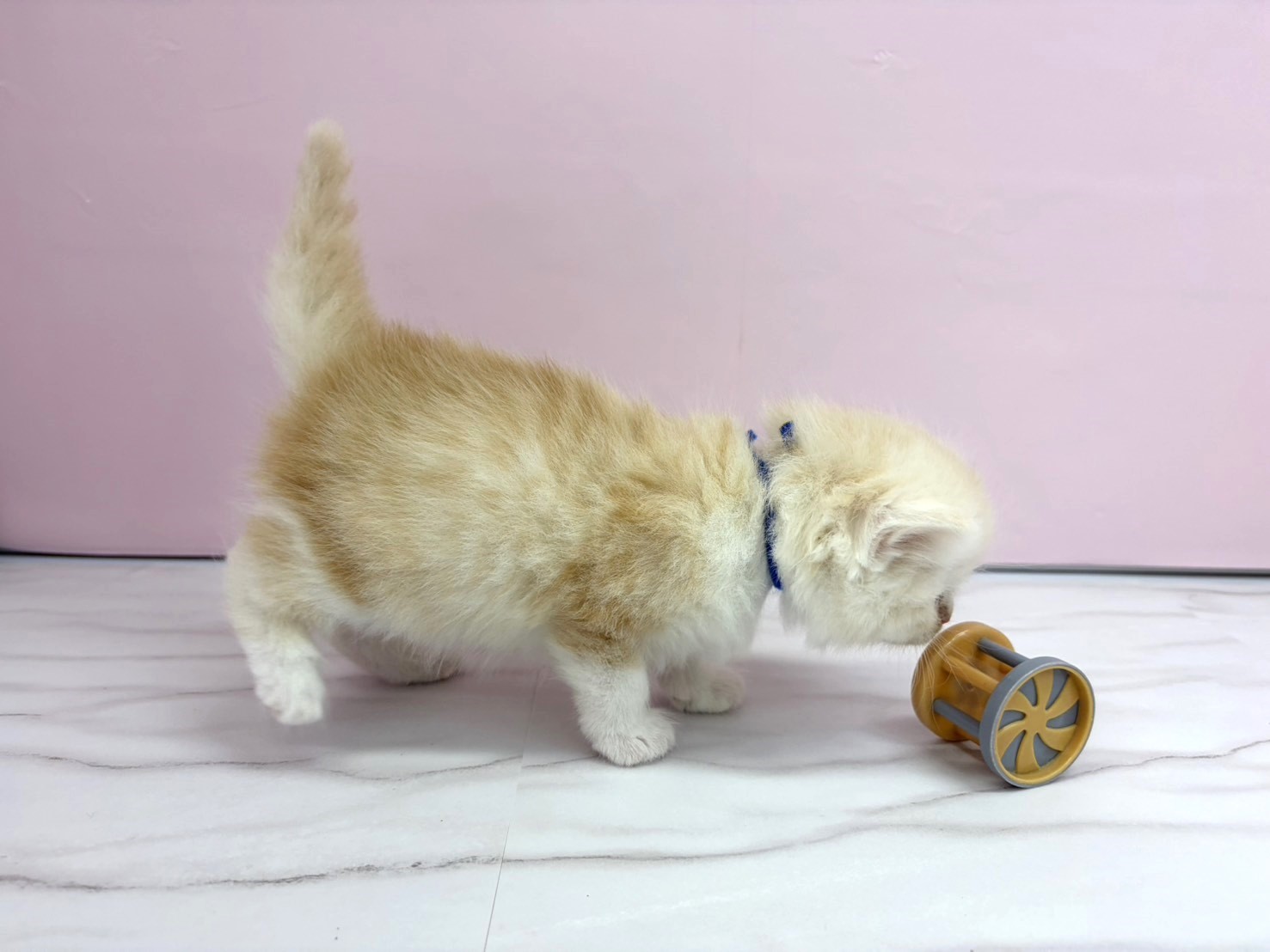 赤ちゃん写真2-2
