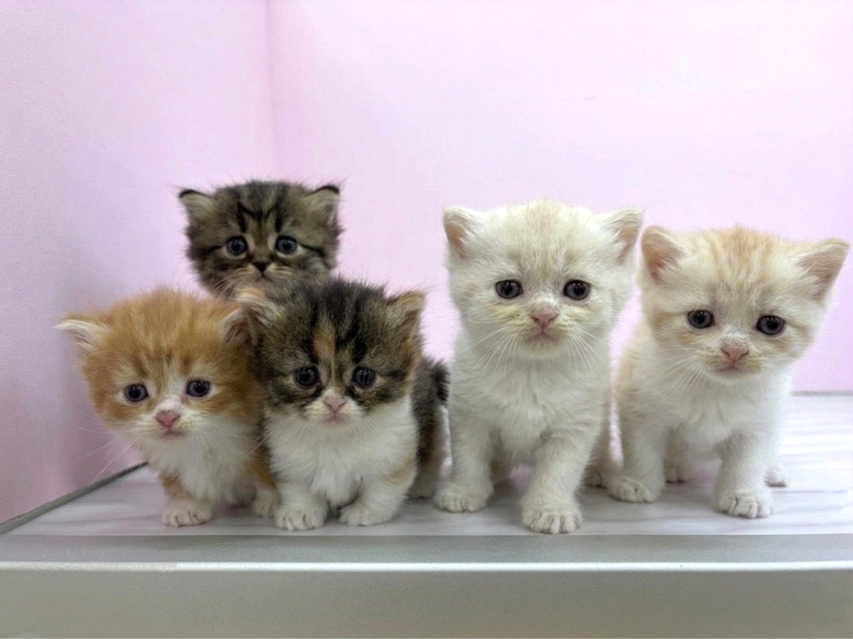 赤ちゃん写真2-3