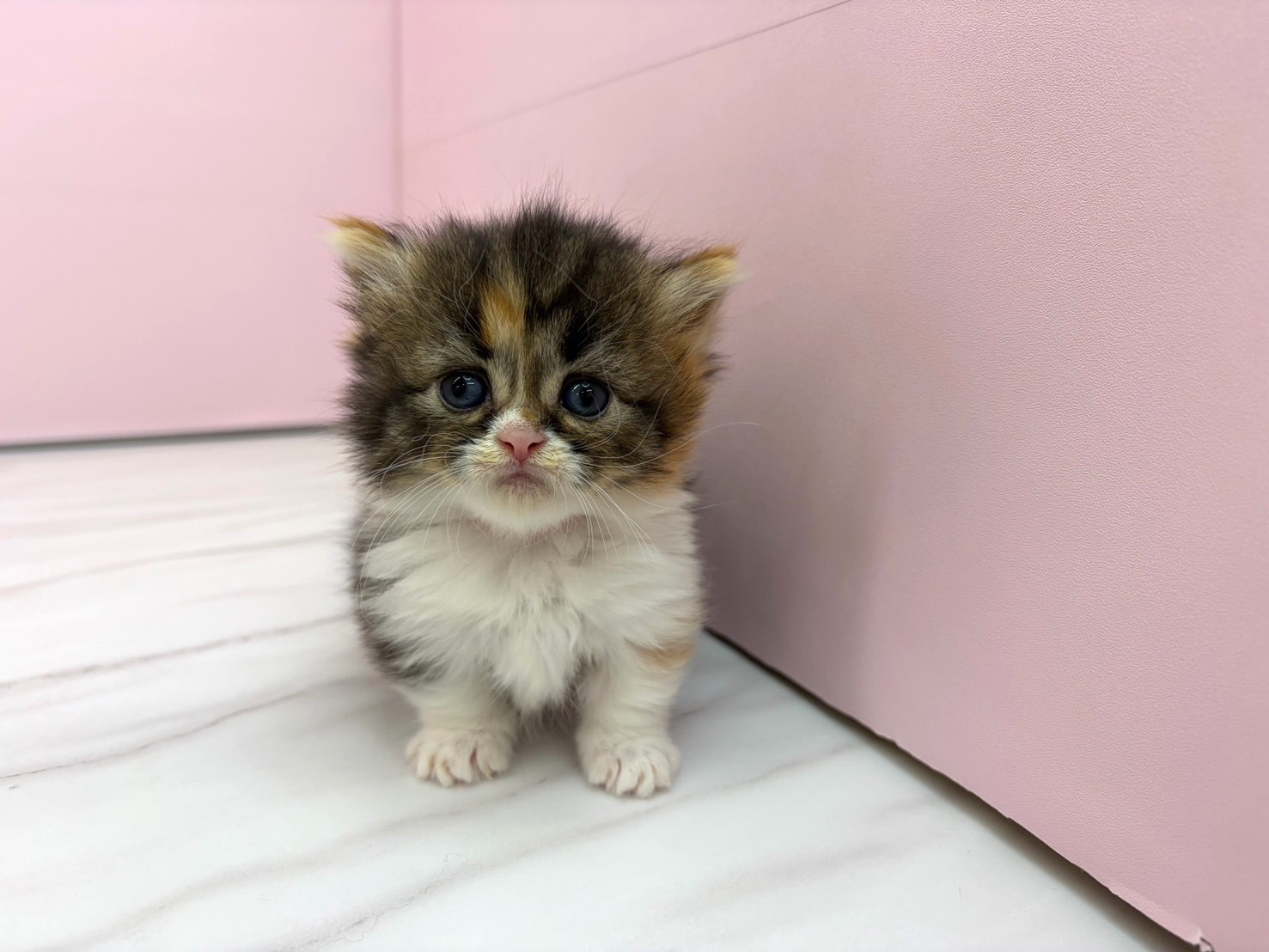 赤ちゃん写真2-1