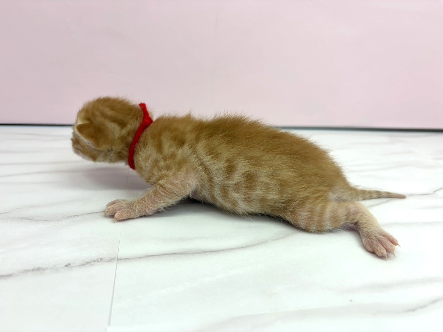 赤ちゃん写真1-2