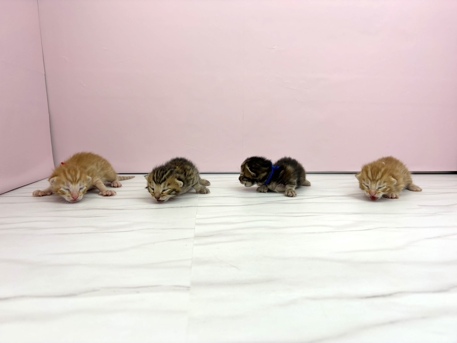 赤ちゃん写真1-3