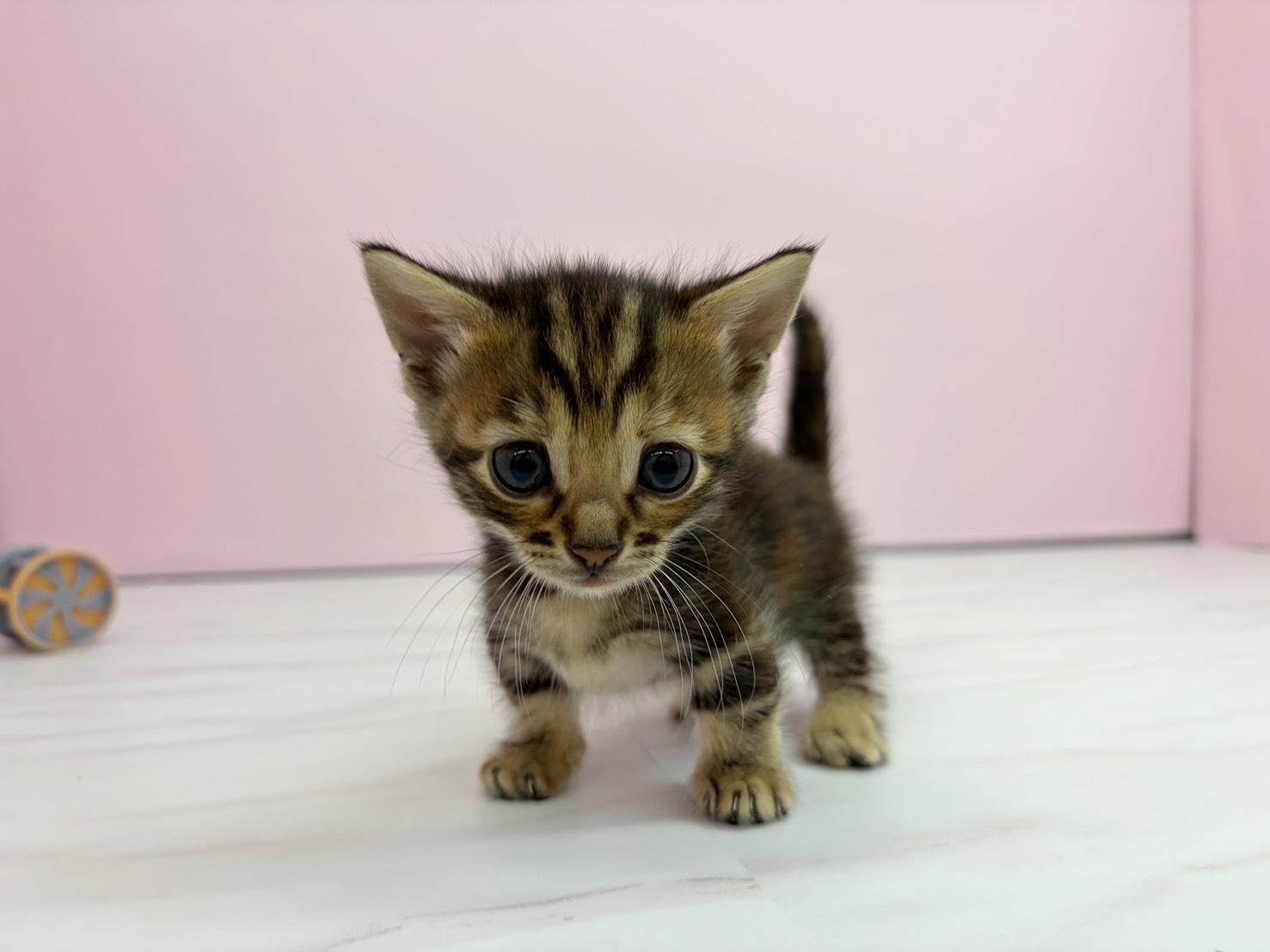 赤ちゃん写真2-1