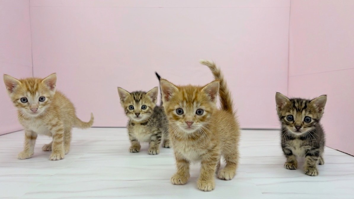 赤ちゃん写真2-3