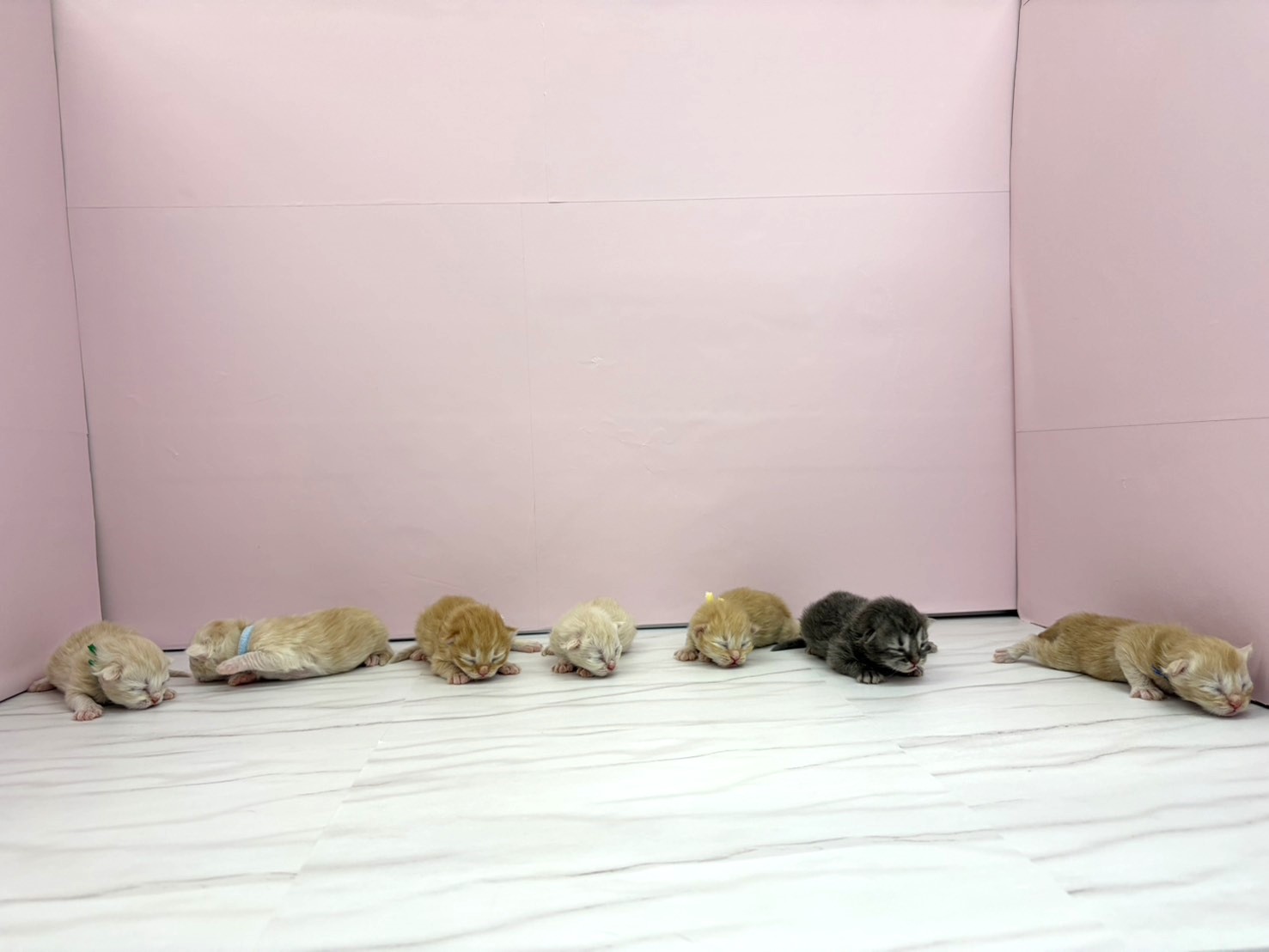 赤ちゃん写真1-3