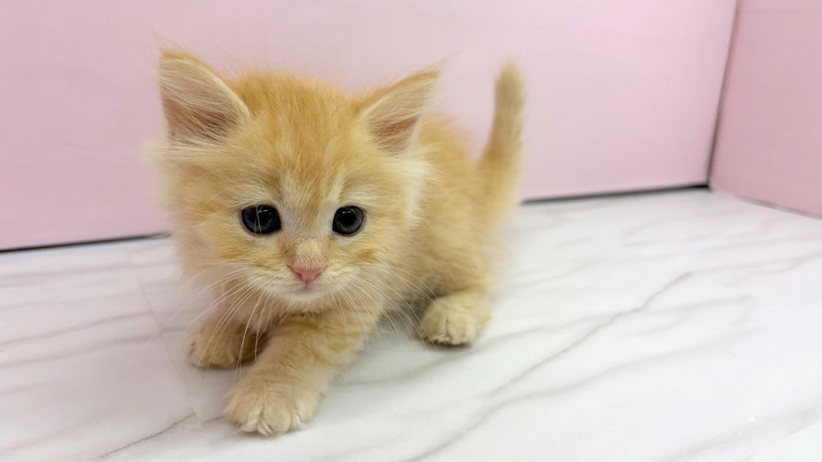 赤ちゃん写真2-1