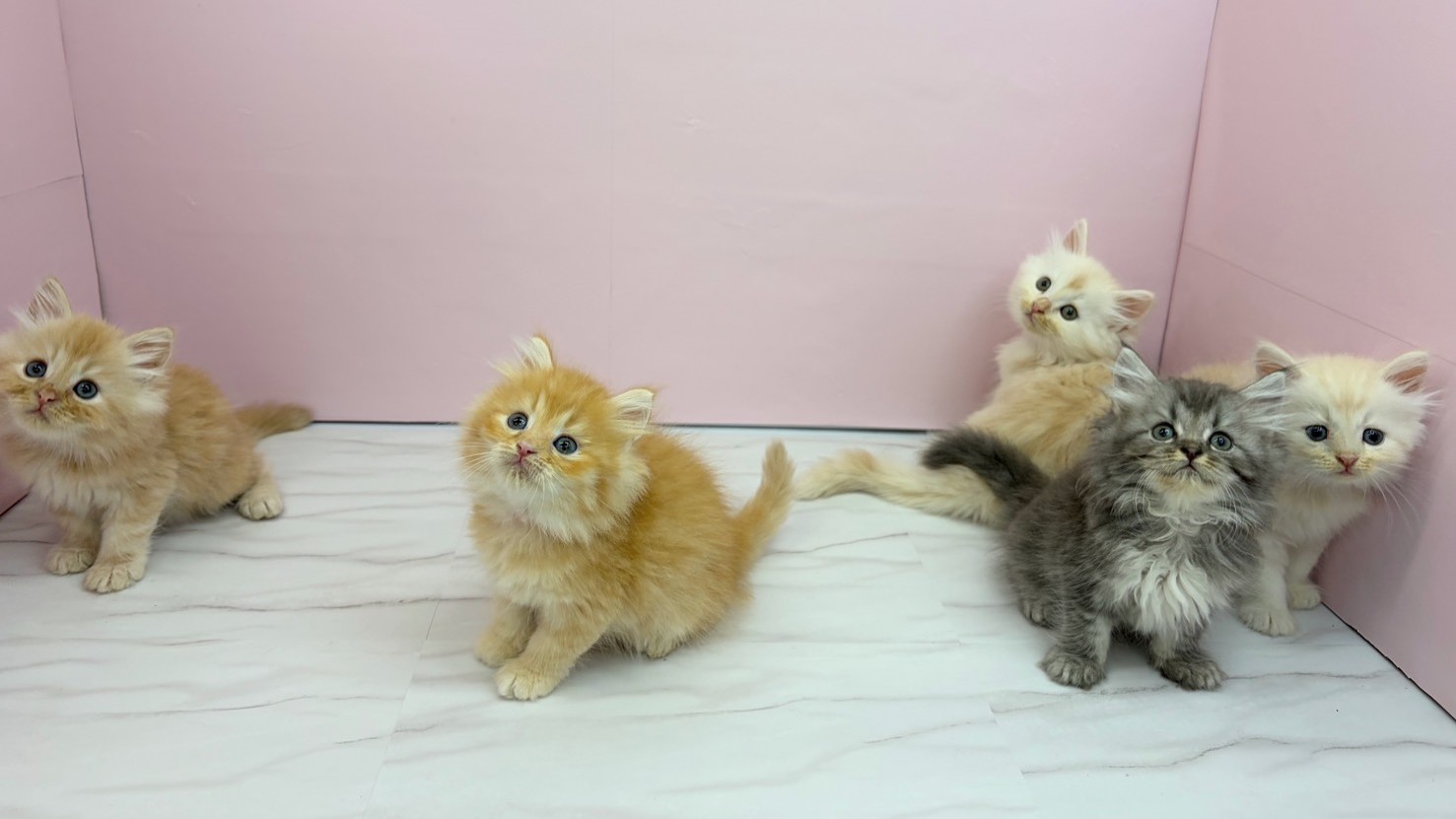 赤ちゃん写真2-3