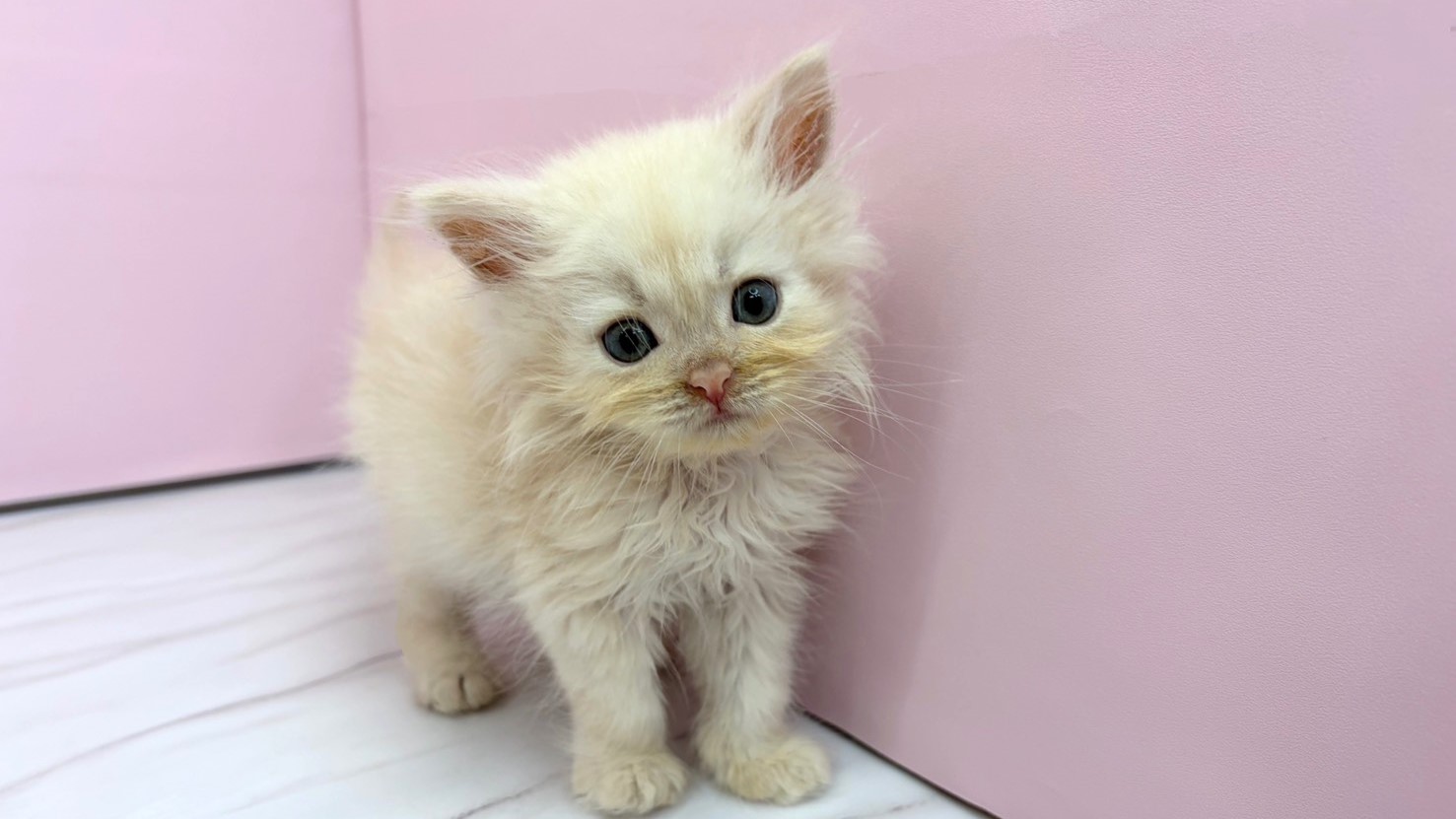 赤ちゃん写真2-1