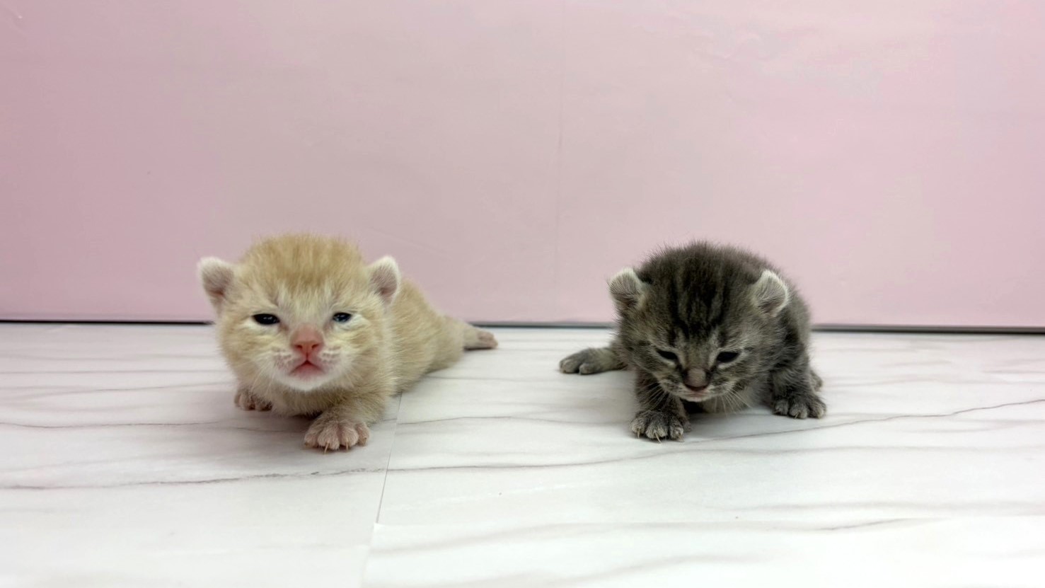赤ちゃん写真1-3