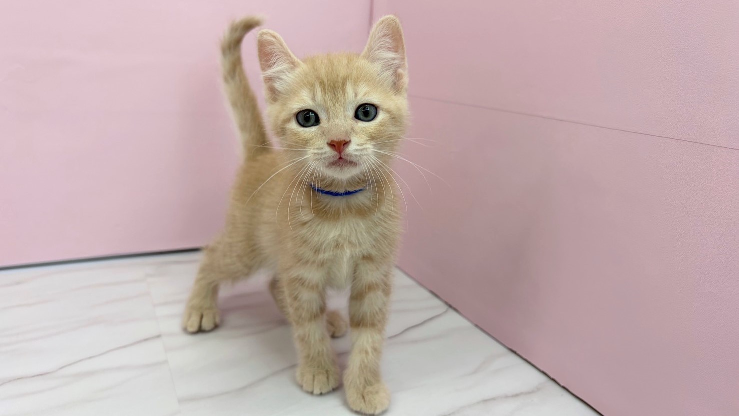 赤ちゃん写真2-1