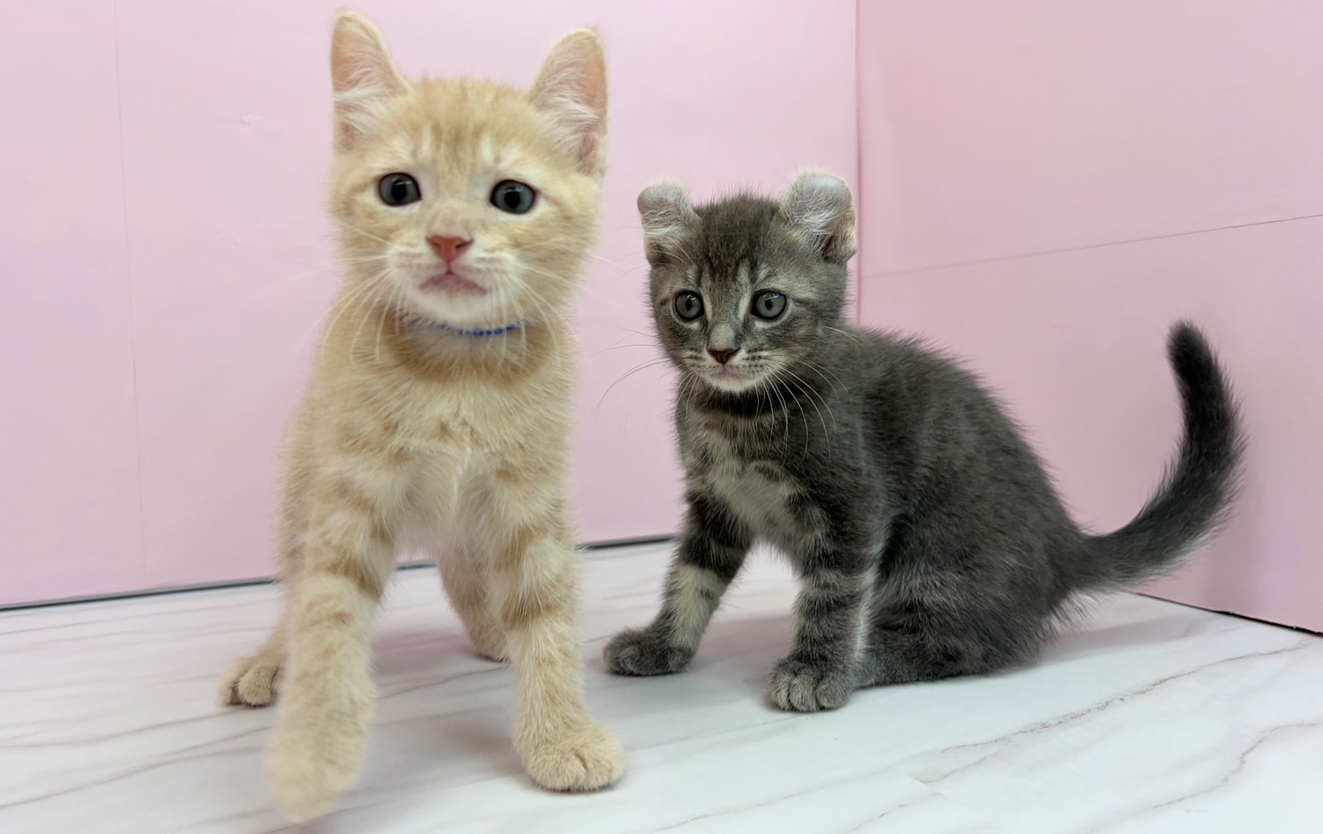 赤ちゃん写真2-3