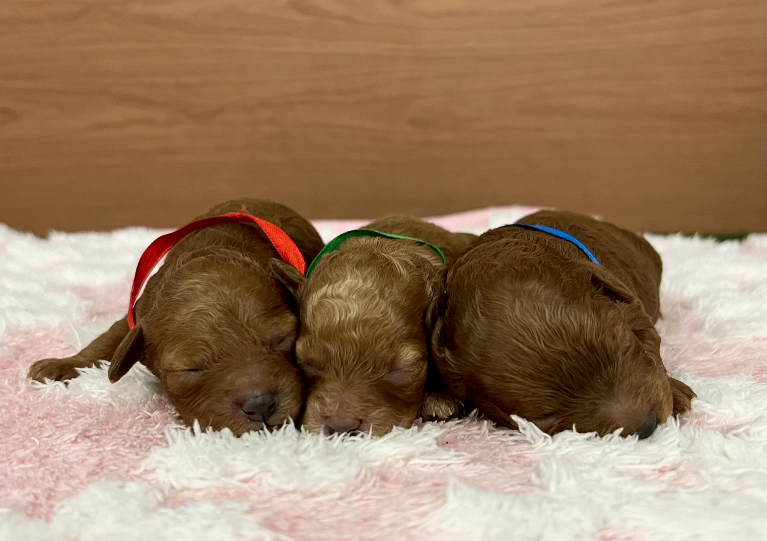 赤ちゃん写真1-3