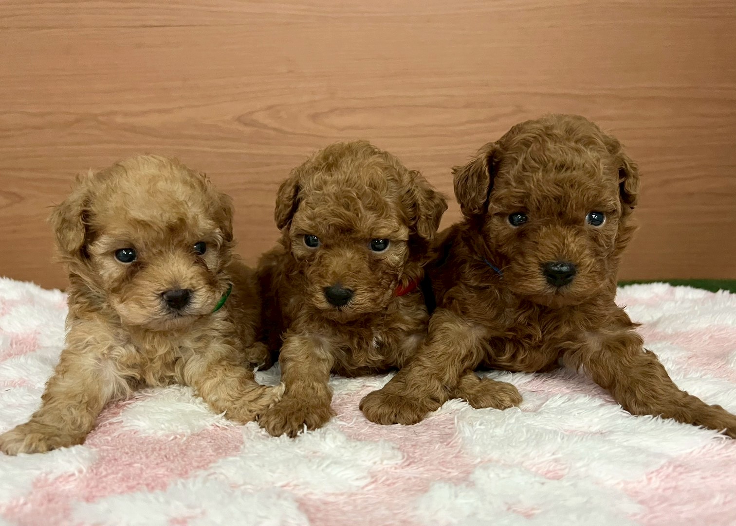 赤ちゃん写真2-3