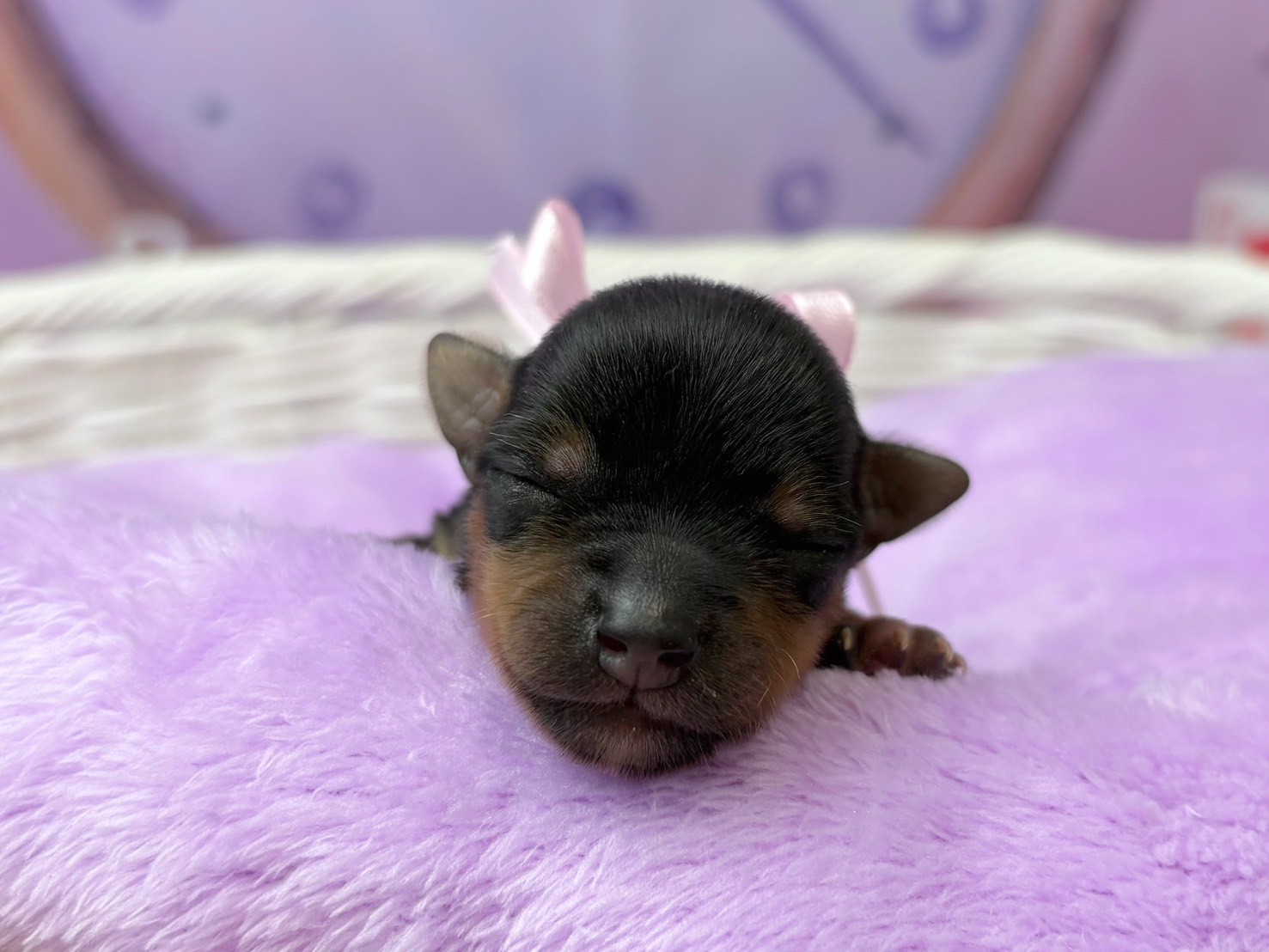 赤ちゃん写真1-1