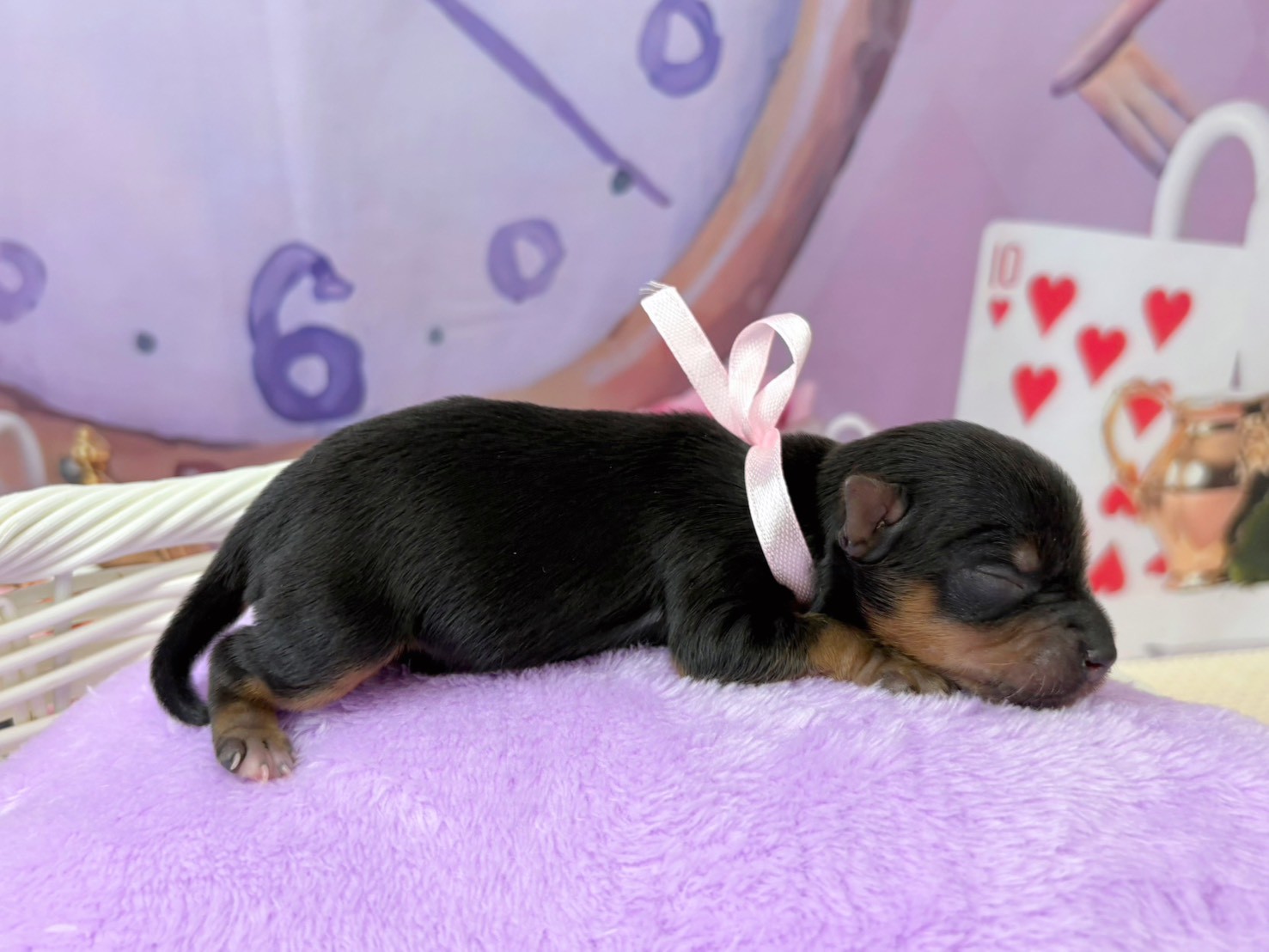 赤ちゃん写真1-2