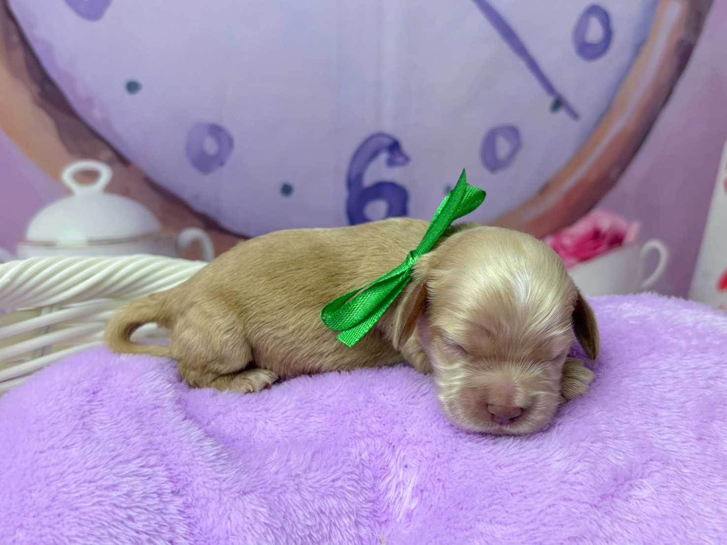 赤ちゃん写真1-2