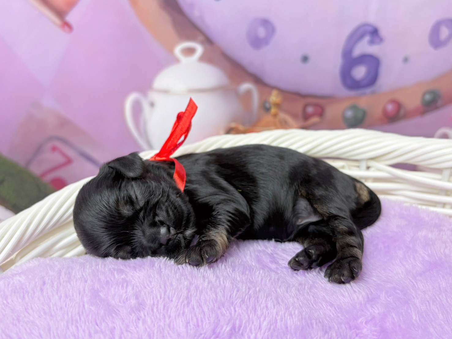 赤ちゃん写真1-2