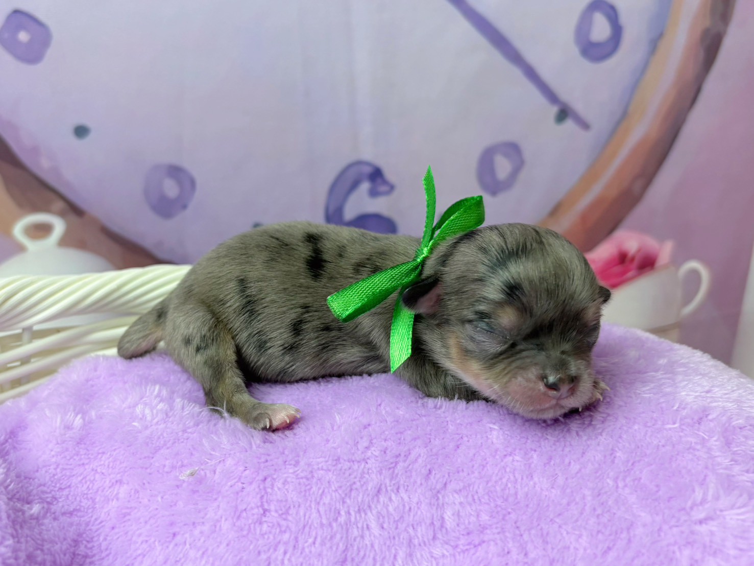 赤ちゃん写真1-2