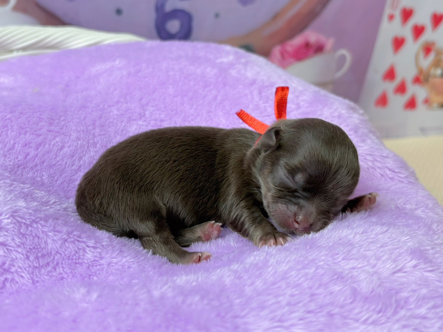 赤ちゃん写真1-2
